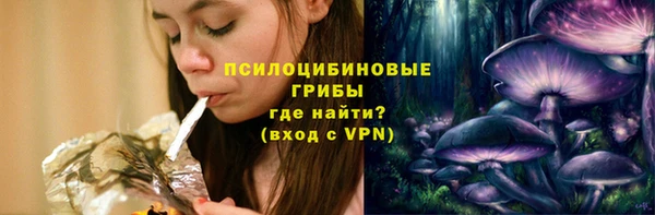 ГАЛЛЮЦИНОГЕННЫЕ ГРИБЫ Арсеньев