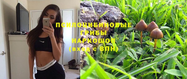 ГАЛЛЮЦИНОГЕННЫЕ ГРИБЫ Арсеньев