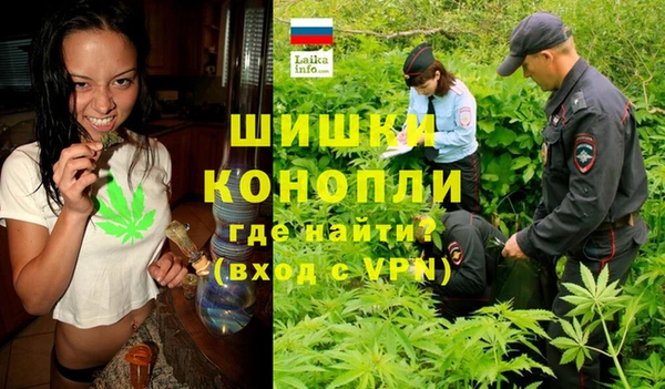 ГАЛЛЮЦИНОГЕННЫЕ ГРИБЫ Арсеньев