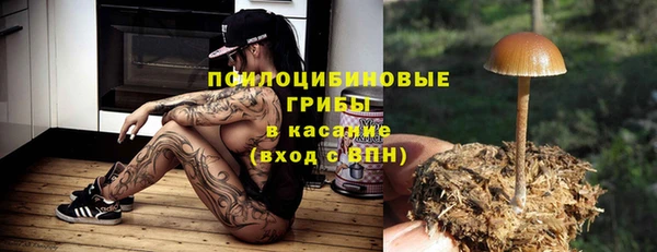 ECSTASY Балахна