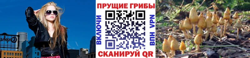 Псилоцибиновые грибы ЛСД  hydra ССЫЛКА  Унеча 