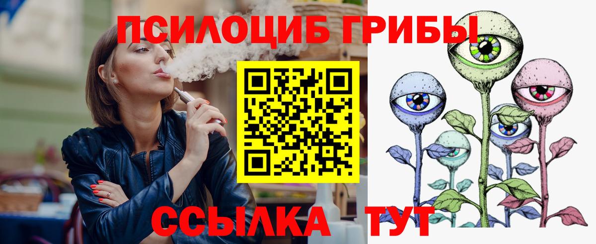 Унеча  Галлюциногенные грибы прущие грибы  Галлюциногенные грибы прущие грибы  Вход с VPN 