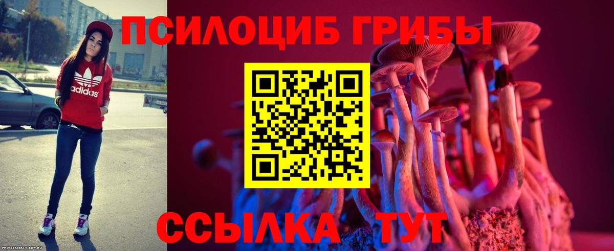 Галлюциногенные грибы ЛСД Унеча